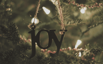 Fourth Week of Advent: Joy