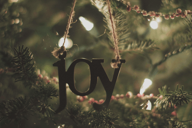 Fourth Week of Advent: Joy